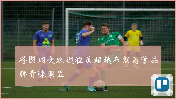 塔图姆受欢迎程度超越布朗高管品牌青睐明显