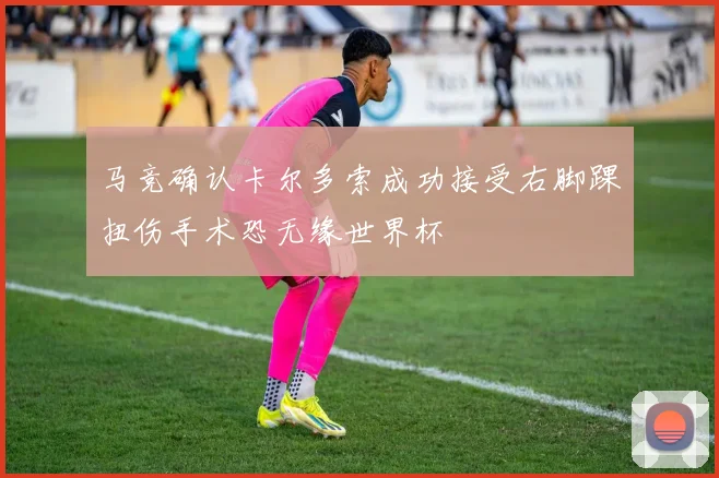 马竞确认卡尔多索成功接受右脚踝扭伤手术恐无缘世界杯